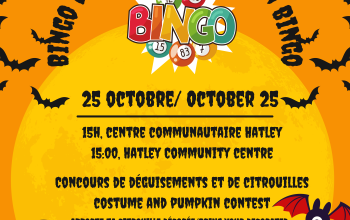 Activités pour l&rsquo;Halloween